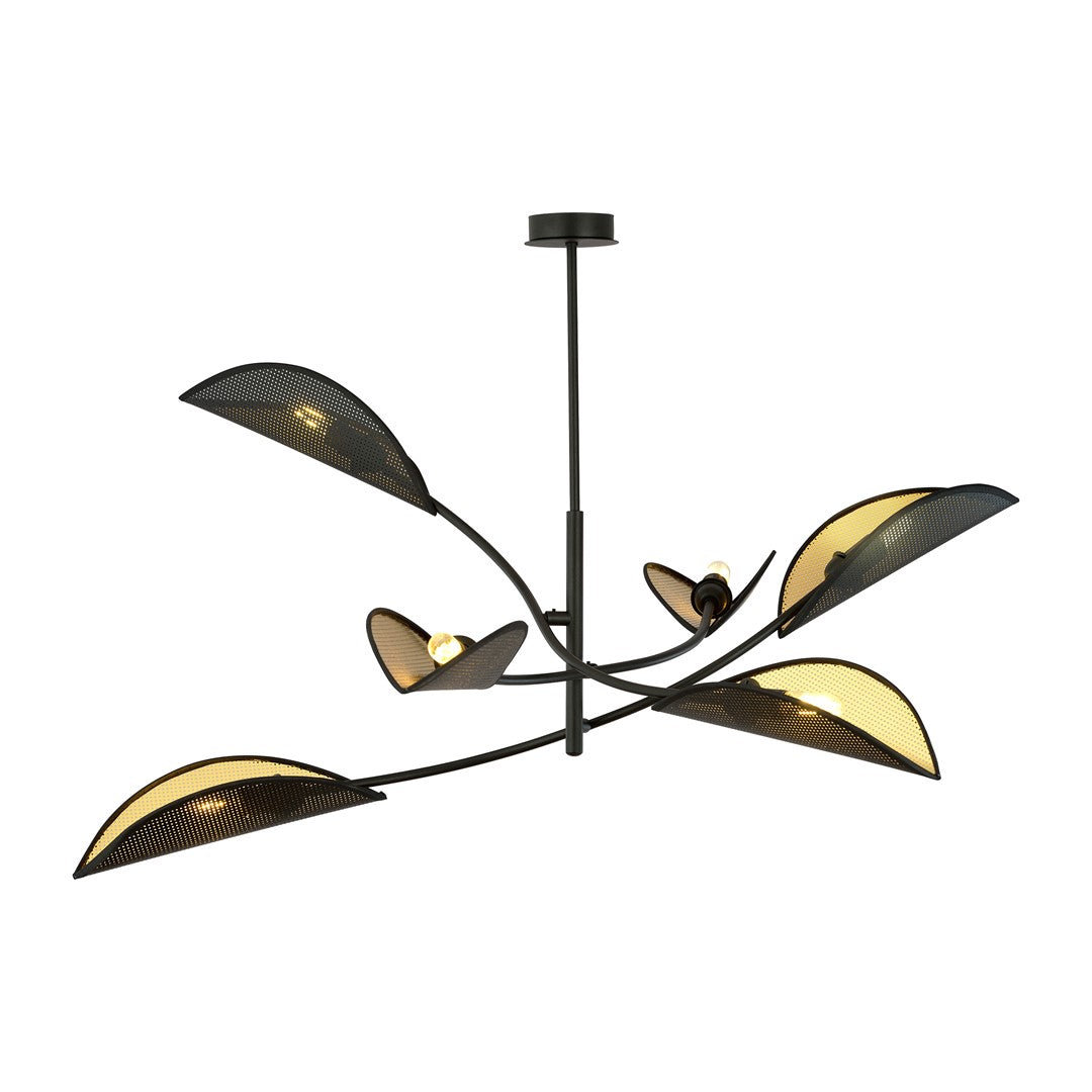 LOTUS 6 ZWART/GOUD
