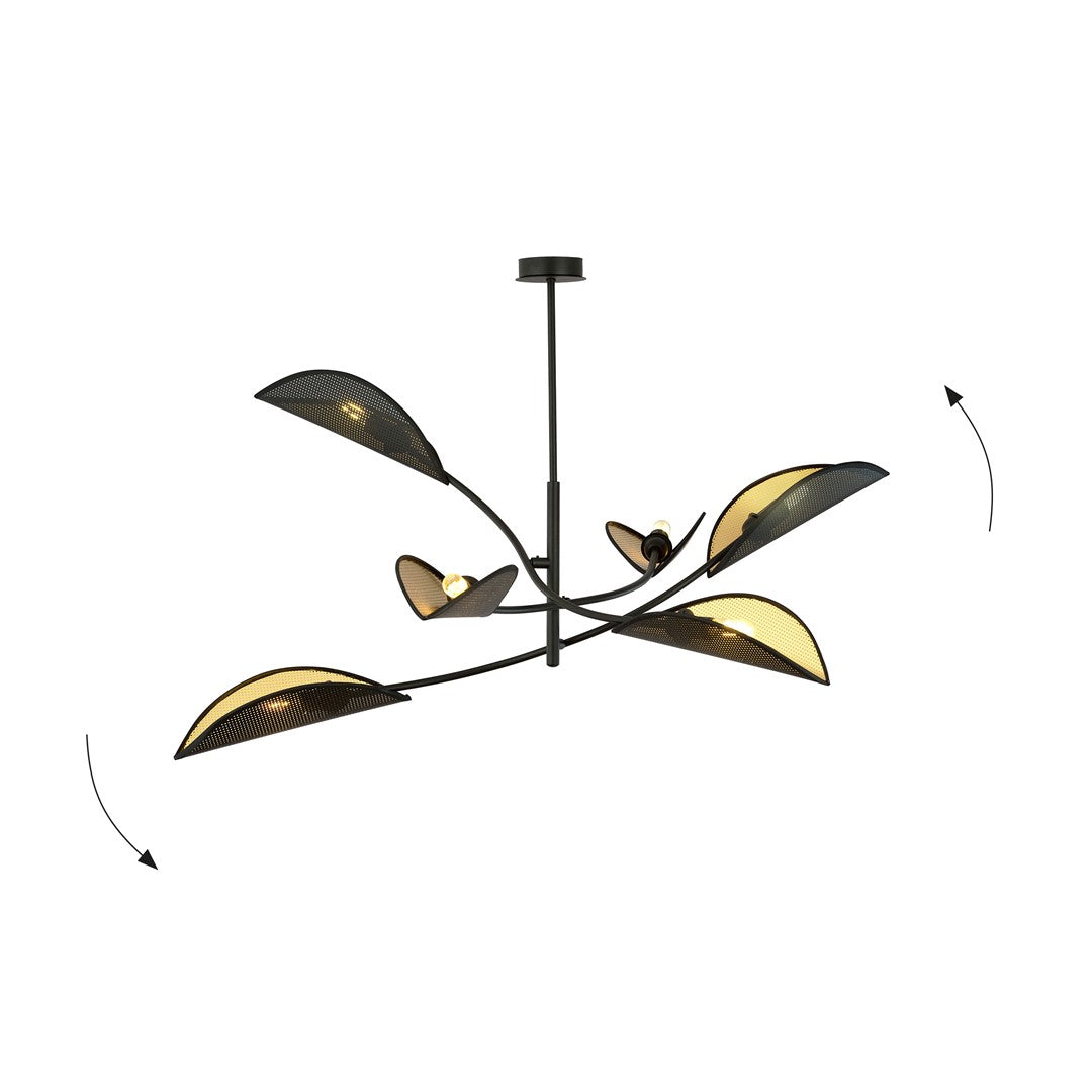 LOTUS 6 ZWART/GOUD