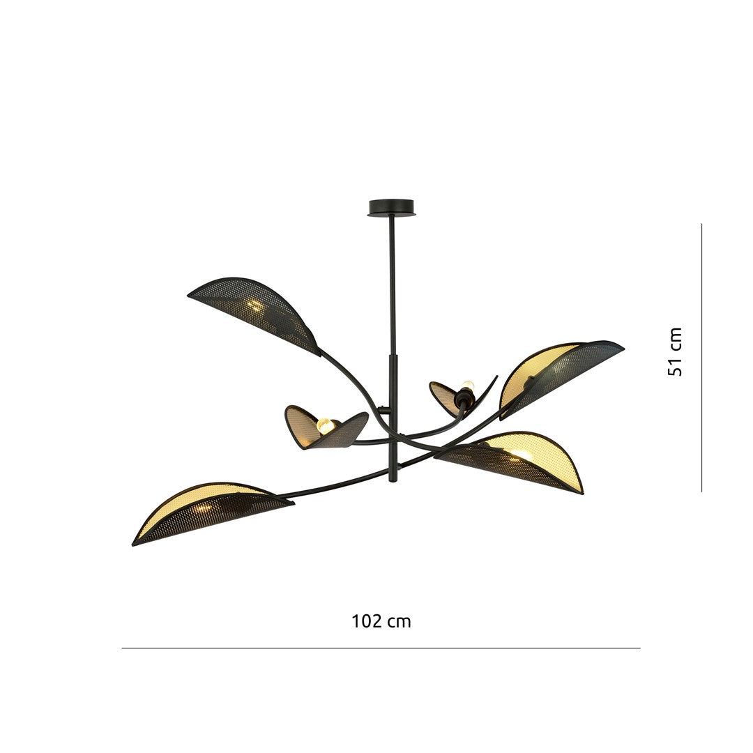 LOTUS 6 ZWART/GOUD