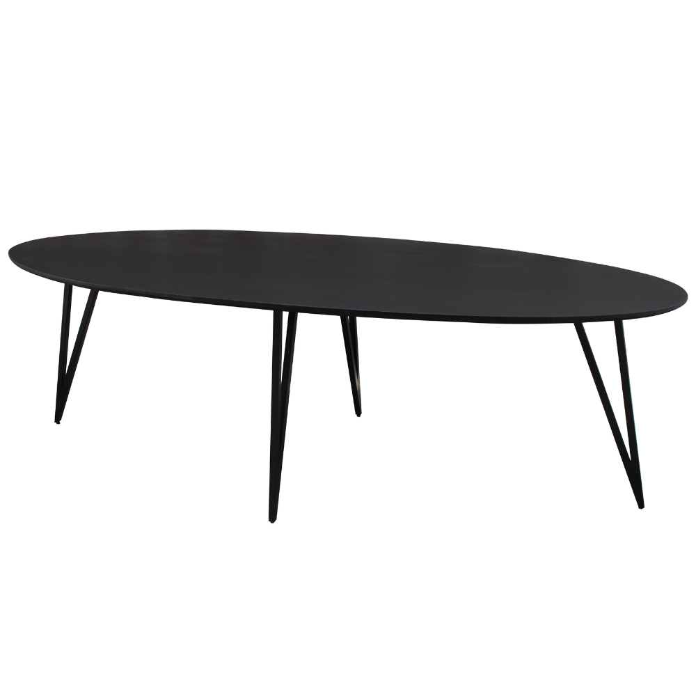 Eettafel Zandvoort 250x110